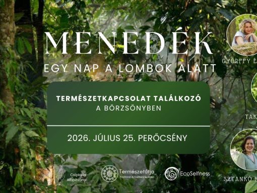 Természetkapcsolat Találkozó a Börzsönyben