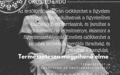 Erdőfürdő és kognitív frissesség