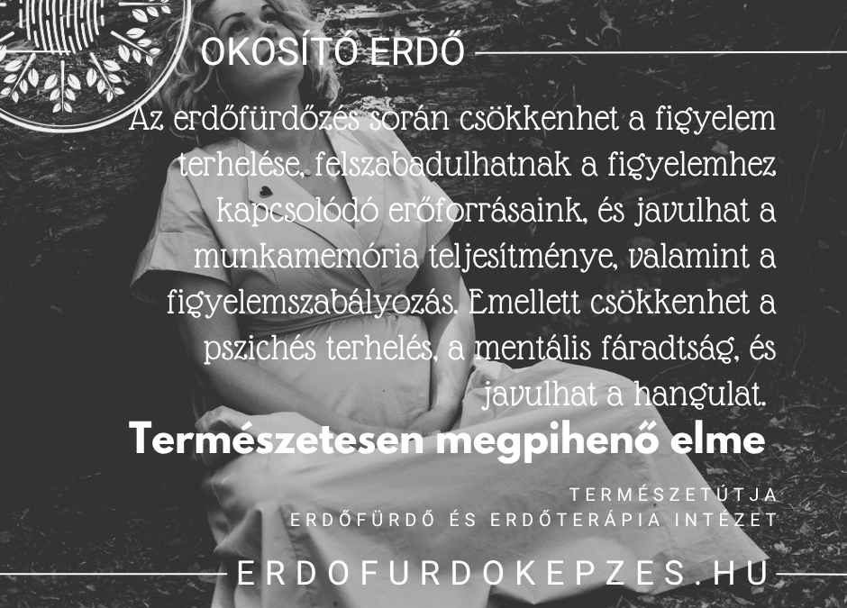 Erdőfürdő és kognitív frissesség
