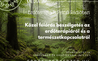 Az erdőterápiáról beszélgettünk a Petőfi Rádió Kultúrfitnesz műsorában