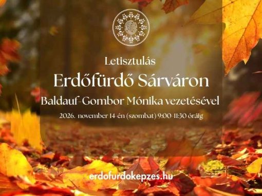Letisztulás – Erdőfürdő az Alpokalja vidékén Baldauf-Gombor Mónika vezetésével