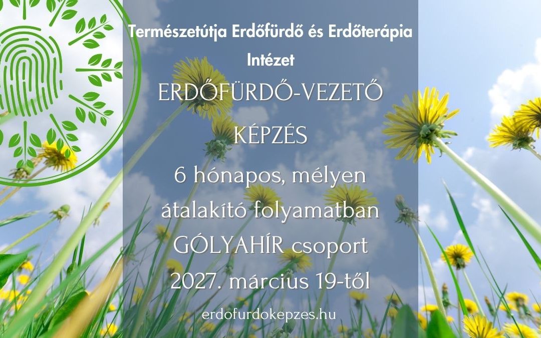Erdőfürdő-vezető képzés – GÓLYAHÍR CSOPORT 2027. március 19-től 2027. augusztus 22-ig