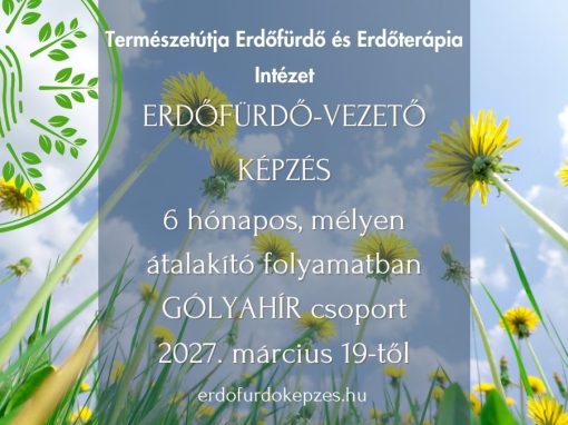 Erdőfürdő-vezető képzés – GÓLYAHÍR CSOPORT 2027. március 19-től 2027. augusztus 22-ig