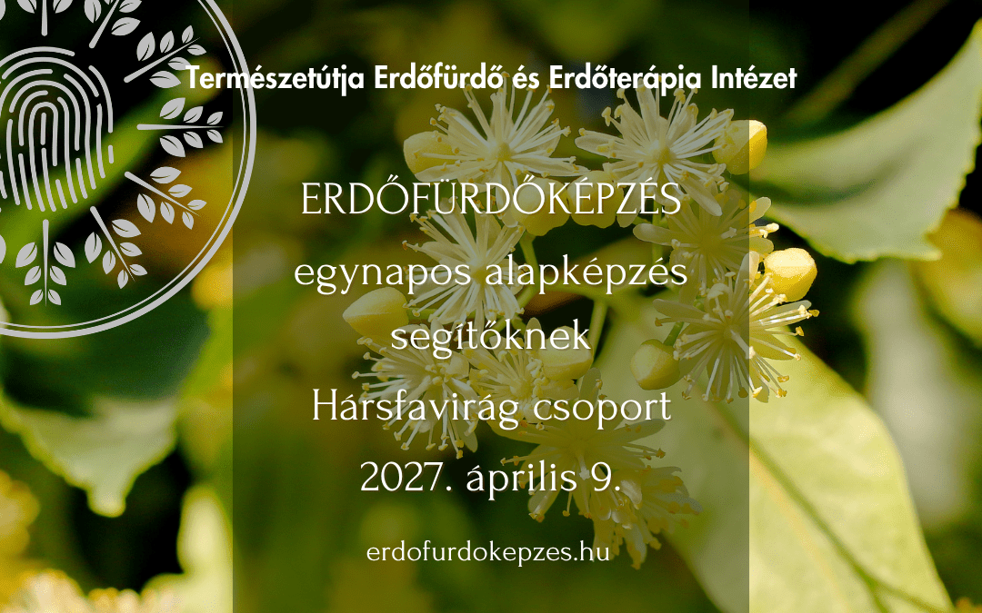 HÁRSFAVIRÁG CSOPORT – Egynapos erdőfürdő módszerismereti alapképzés segítő foglalkozásúaknak