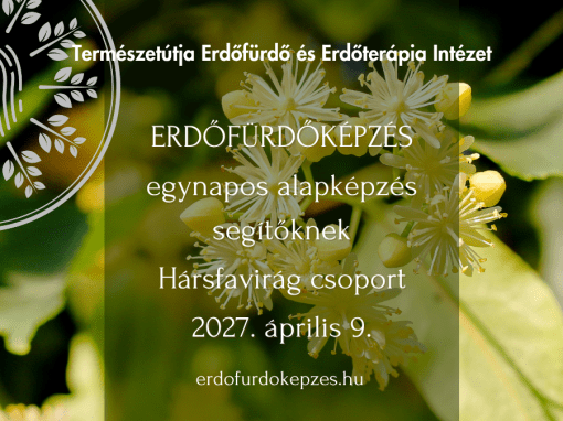 HÁRSFAVIRÁG CSOPORT – Egynapos erdőfürdő módszerismereti alapképzés segítő foglalkozásúaknak