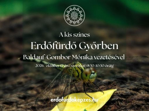 “A kis színes” –  Erdőfürdő Győrben 2026. október 17-én (szombat) 8:30-10:30