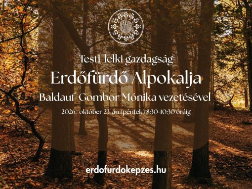 Testi-lelki gazdagság – Erdőfürdő az Alpokalja vidékén 2026. október 23-án (péntek) 8:30-10:30-ig