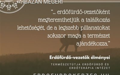 Miért igazán jó erdőfürdő-vezetőnek lenni?